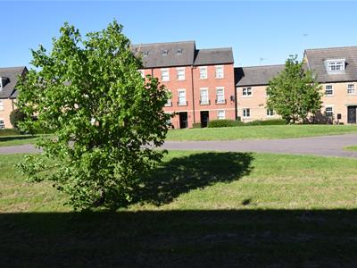 Picture 25